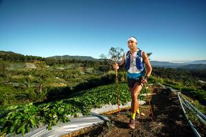 BIB: 
                            <button type="button" onclick="openModal(19114257)" class="btn btn-primary btn-sm float-right btn-popup" data-toggle="modal" data-target=".modal-high-quality">
                        <i class="fas fa-shopping-cart"></i> Add to Cart
                    </button>
                                            <button type="button" onclick="isThisMe(19114257, true)" class="btn btn-success btn-sm float-right btn-popup btn-isme hidden" data-toggle="tooltip" data-placement="bottom" title="นี่คือรูปของคุณใช่ไหม คลิกที่นี่เพื่อเอาเข้าอัลบั้ม">
                        <i class="fas fa-plus"></i> Add to album
                    </button>
                    <button type="button" onclick="isThisMe(19114257, false)" class="btn btn-warning btn-sm float-right btn-popup btn-isnotme hidden">
                        <i class="fas fa-ban"></i> Remove from album
                    </button>